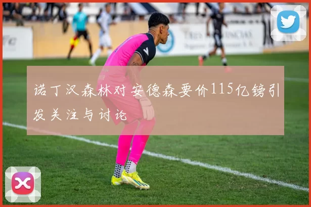 诺丁汉森林对安德森要价115亿镑引发关注与讨论
