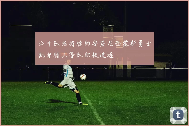 公牛队或将续约安芬尼西蒙斯勇士凯尔特人等队积极追逐